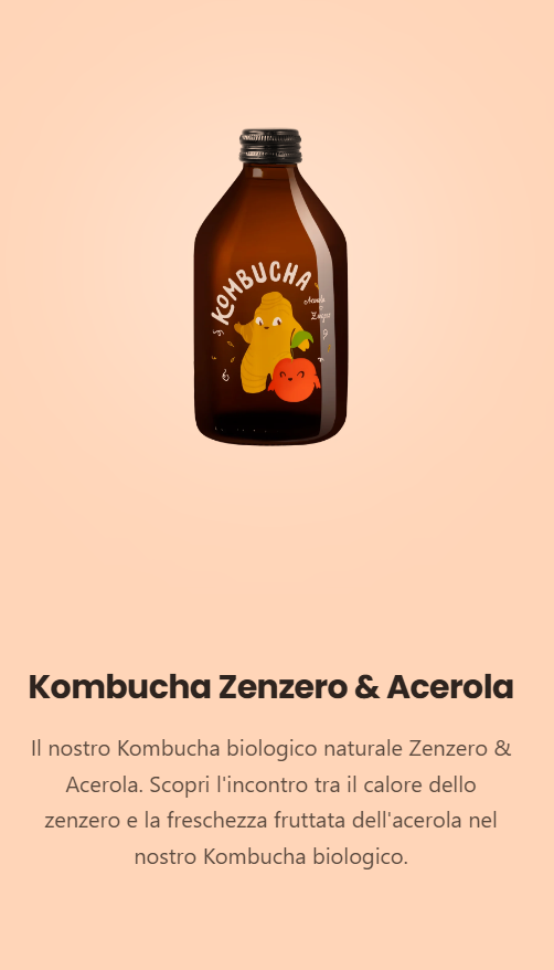 KOMBUCHA ZENZERO & ACEROLA 330ml Pz.2