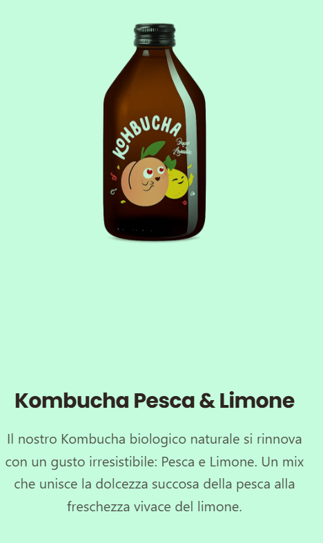 KOMBUCHA PESCA & LIMONE 330ml Pz.2