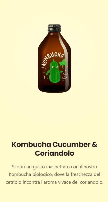 KOMBUCHA CUCUMBER & CORIANDOLO 330ml Pz.2