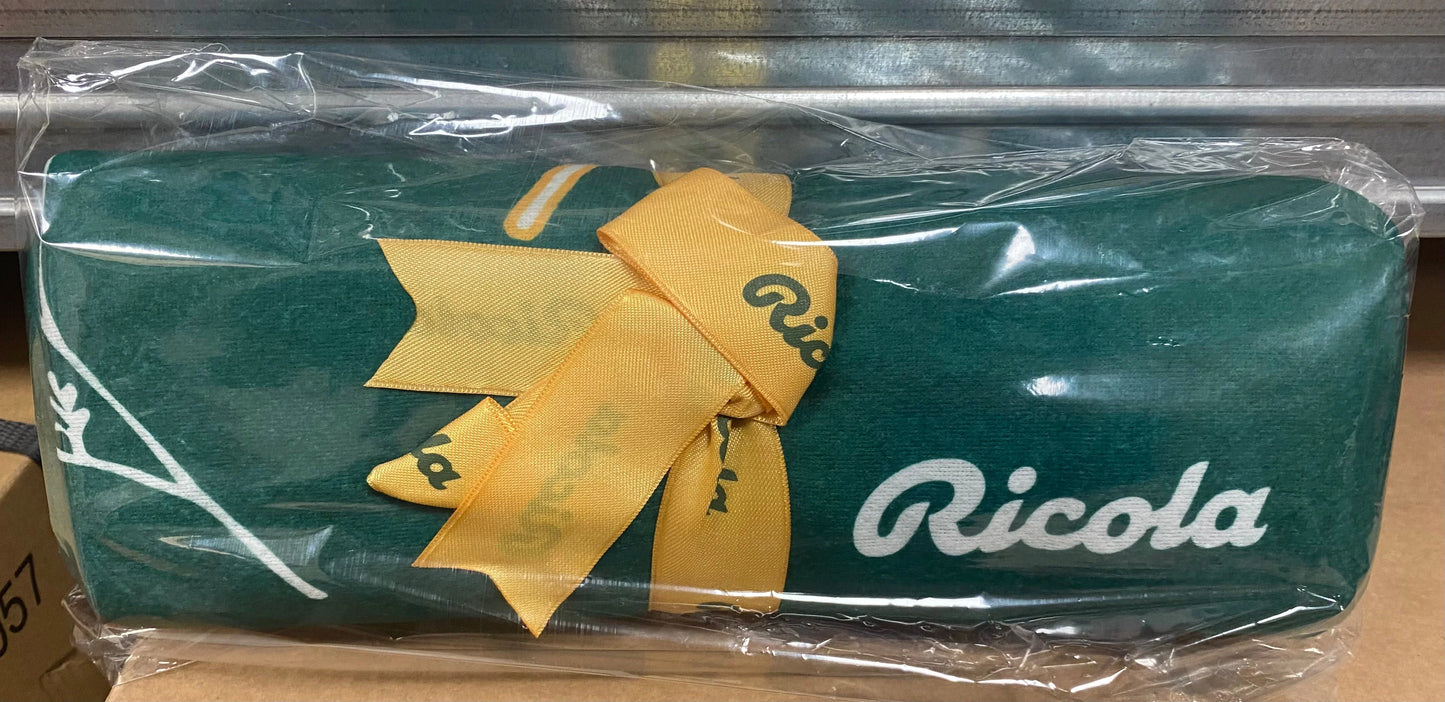 RICOLA ARANCIA MENTA